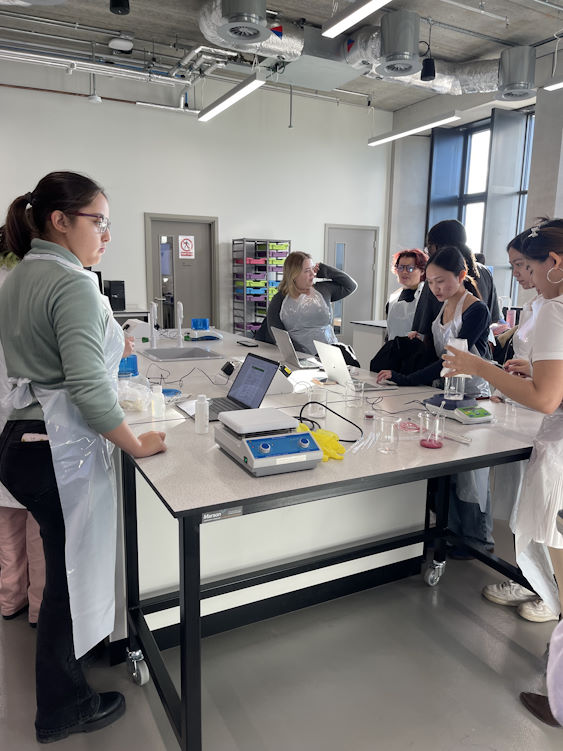 A group of students learning about how to make homemade skin care products